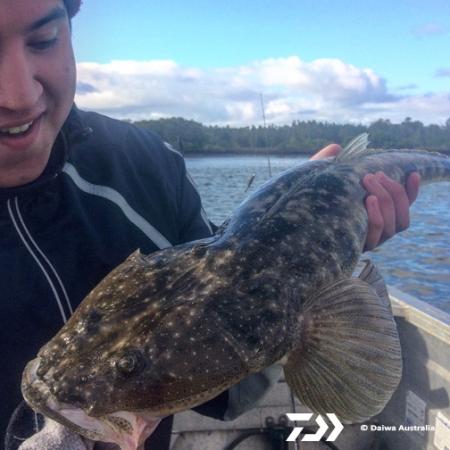 Fan gallery #2593