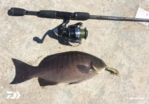 Fan gallery #2345