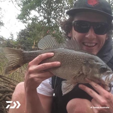Fan gallery #889