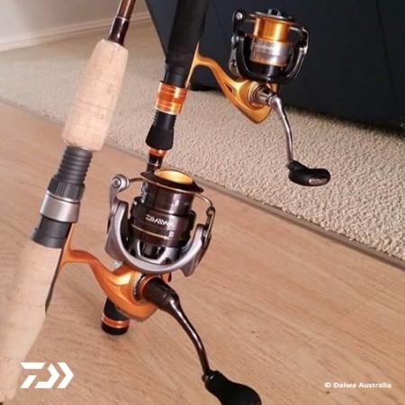 Fan gallery #2200