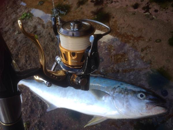 Fan gallery #3287