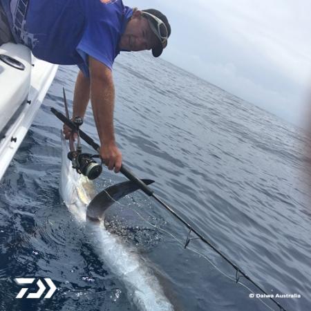 Fan gallery #2088