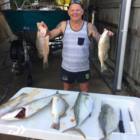 Fan gallery #701