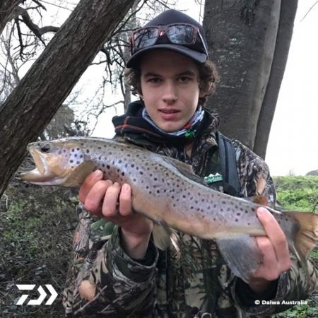 Fan gallery #2829