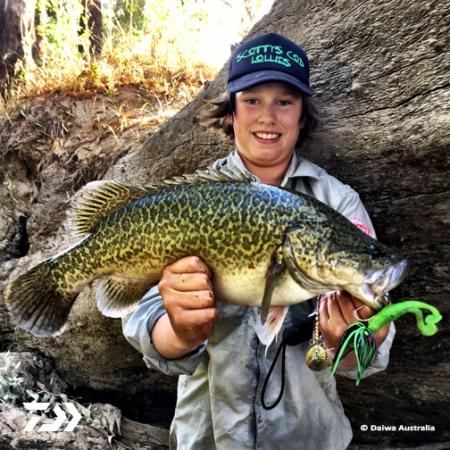 Fan gallery #2420