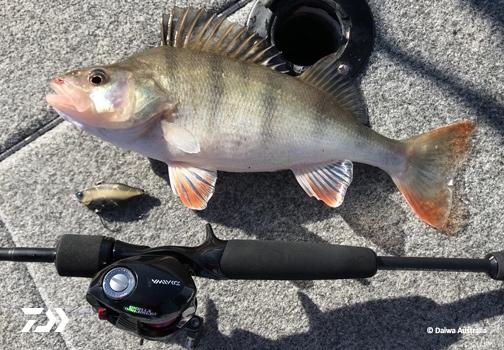 Fan gallery #937