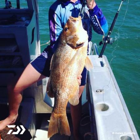 Fan gallery #3007