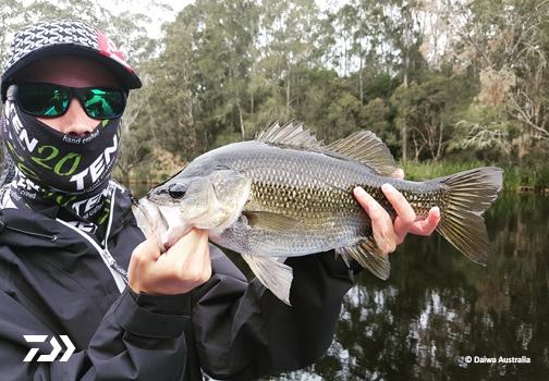 Fan gallery #2209