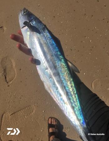 Fan gallery #2798
