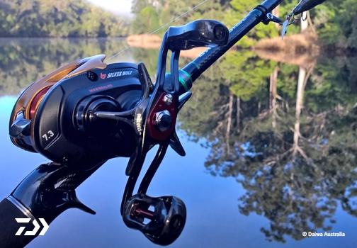Fan gallery #2800