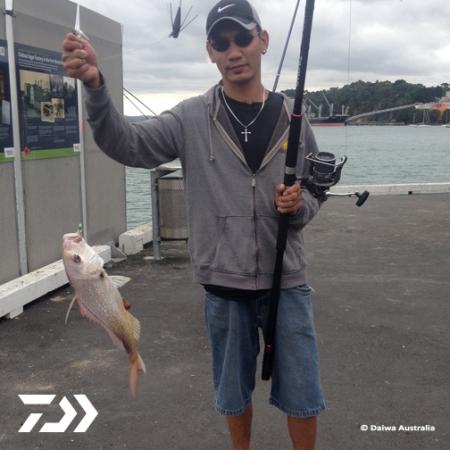 Fan gallery #2935
