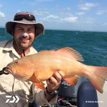 Fan gallery #2741