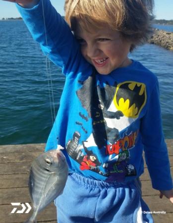 Fan gallery #2145