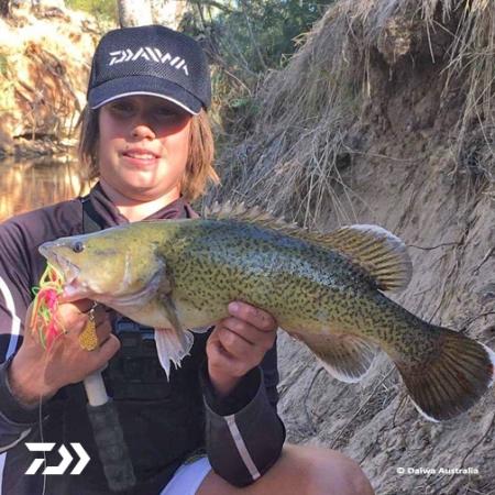 Fan gallery #2426