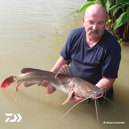 Fan gallery #935