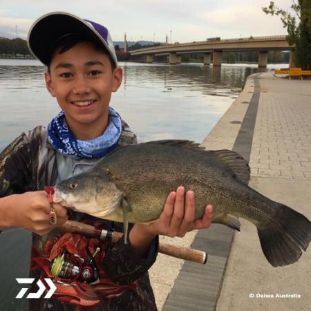 Fan gallery #3124