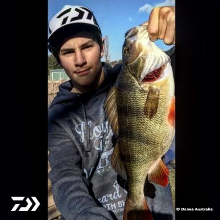 Fan gallery #2631