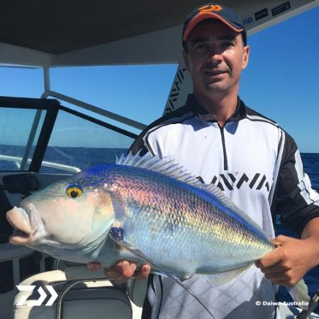 Fan gallery #2363