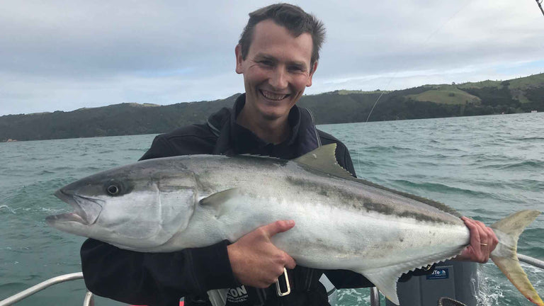 WAIHEKE KINGFISH