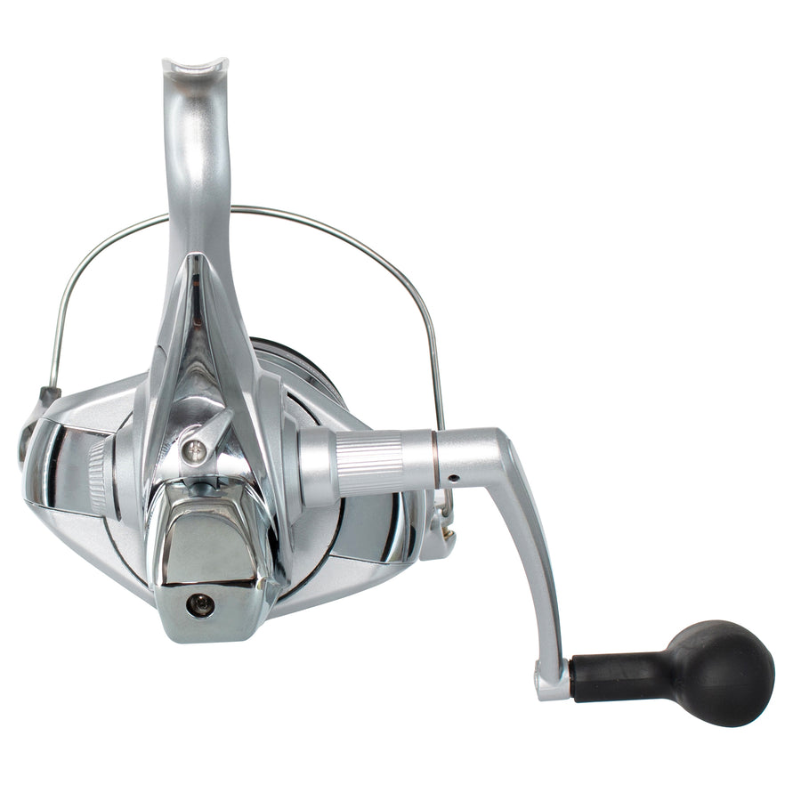 Eliminator 6000 LC Surf | Daiwa NZ