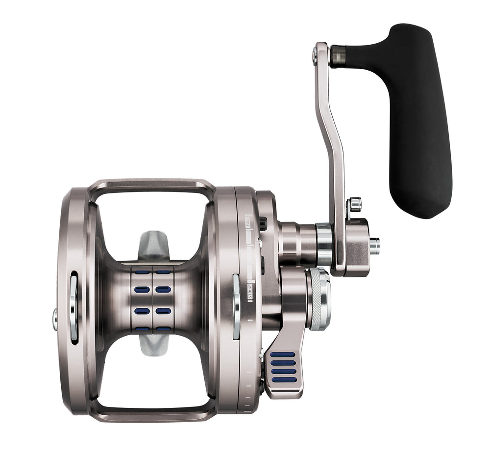 Saltiga LD 80
