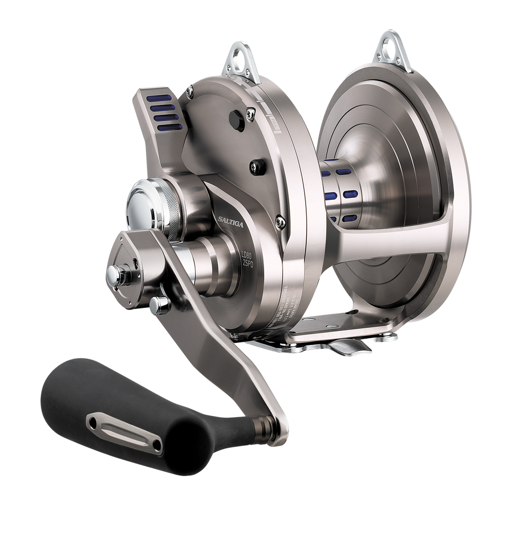 Saltiga LD 80